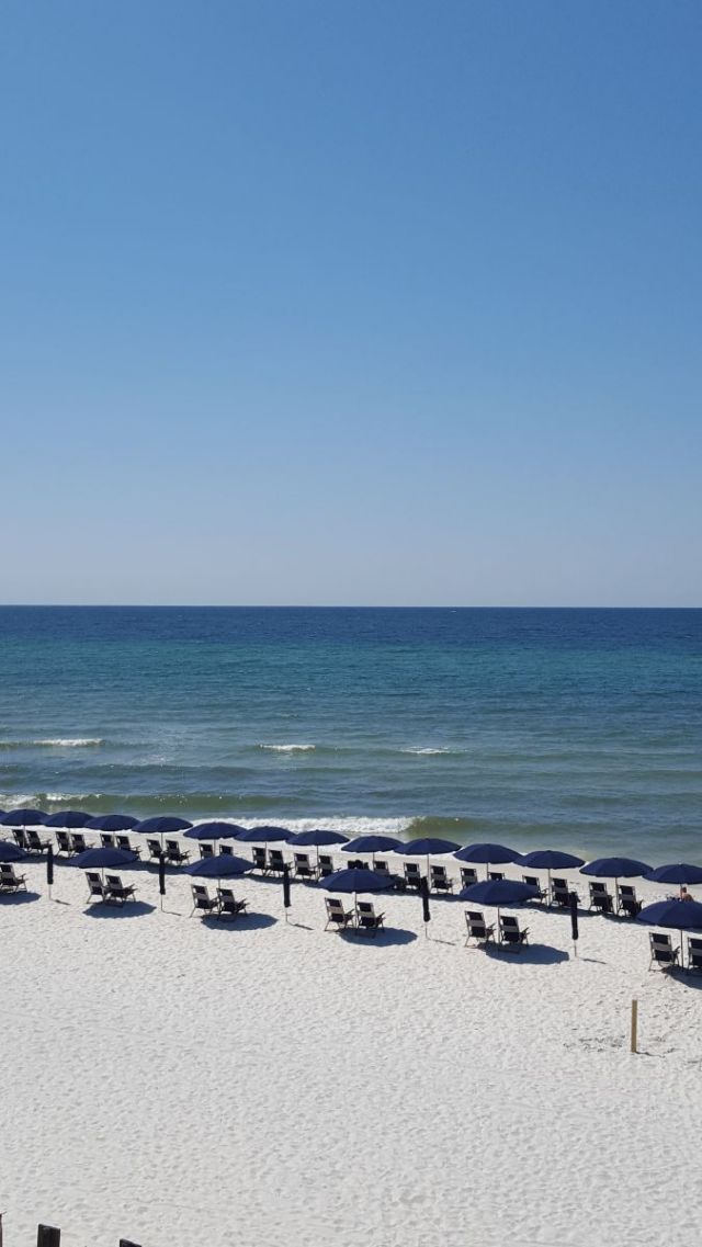 The sand along the 30A Beaches are soft and oyster white. They are not powdery like the Caribbean, but still very soft and sugary and impeccably clean. The water is normally pale green to deep emerald, but we were there after hard rains, and the water wasn t as green as our week of visiting. You can see more photos of the true color of the water in my Instagram feed. There are also 4 beautiful pools in the area, assigned to their respective VRBO so you have to do a little homework there. The Seacrest Beach pool is NOT heated, fyi. So with our week s cooler weather, it was too cccccold (for me). The sand along the 30A Beaches are soft and oyster white. They are not powdery like the Caribbean, but still very soft and sugary and impeccably clean. The water is normally pale green to deep emerald, but we were there after hard rains, and the water wasn t as green as our week of visiting. You can see more photos of the true color of the water in my Instagram feed. There are also 4 beautiful pools in the area, assigned to their respective VRBO so you have to do a little homework there. The Seacrest Beach pool is NOT heated, fyi. So with our week s cooler weather, it was too cccccold (for me).
