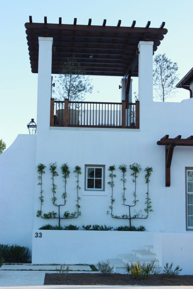 Alys Beach - look at that beautiful vine against the white smooth wall. Alys Beach - look at that beautiful vine against the white smooth wall.
