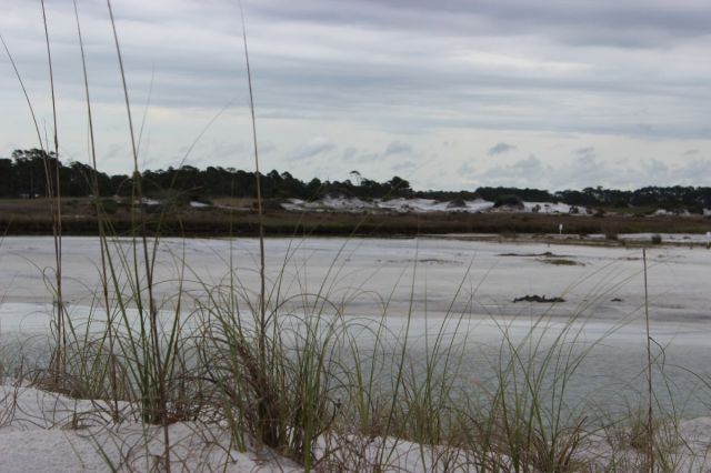 Up the 30 A a little further is Grayton Beach. This is a public non-gated beach full of water fowl. Even on a gray day, it is still breathtaking. Up the 30 A a little further is Grayton Beach. This is a public non-gated beach full of water fowl. Even on a gray day, it is still breathtaking.