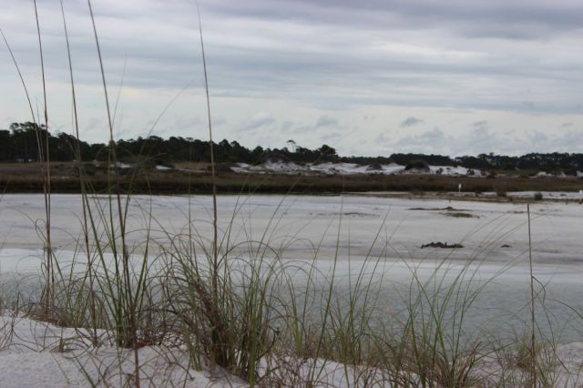 Up the 30 A a little further is Grayton Beach. This is a public non-gated beach full of water fowl. Even on a gray day, it is still breathtaking.