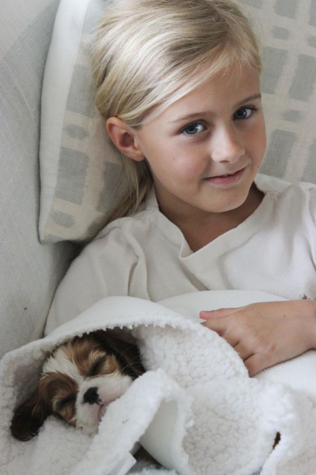 After her first bath with Eden.
This breed loves to burrow and cuddle.  Dog beds all over the house not that necessary,  as  you  are their bed.